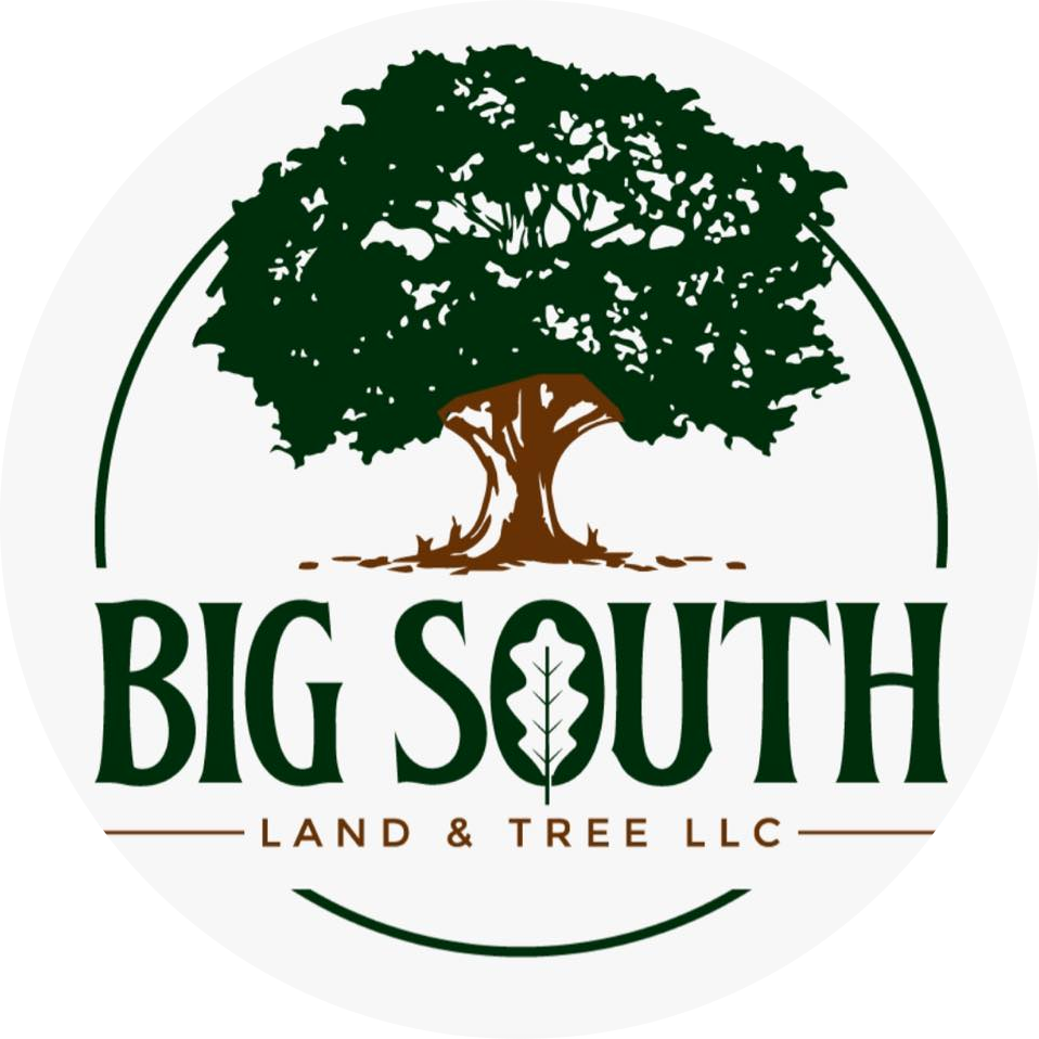Big South logo